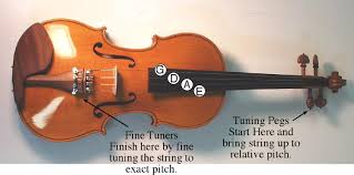 Violin